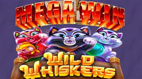 Whisker wins casino Venezuela
